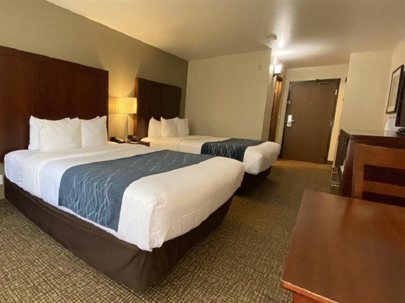 Comfort Inn Lacey - Olympia Εξωτερικό φωτογραφία