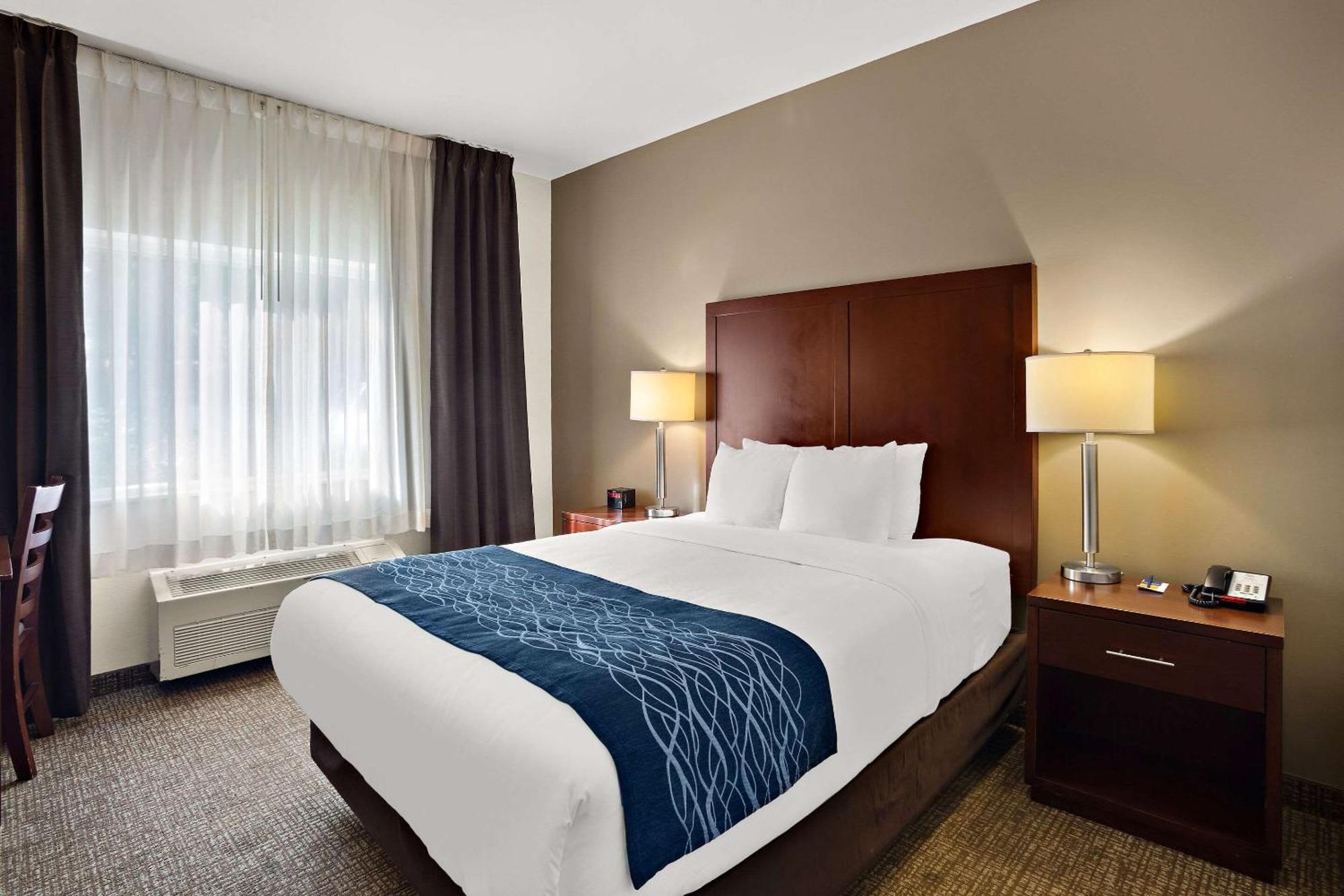 Comfort Inn Lacey - Olympia Εξωτερικό φωτογραφία