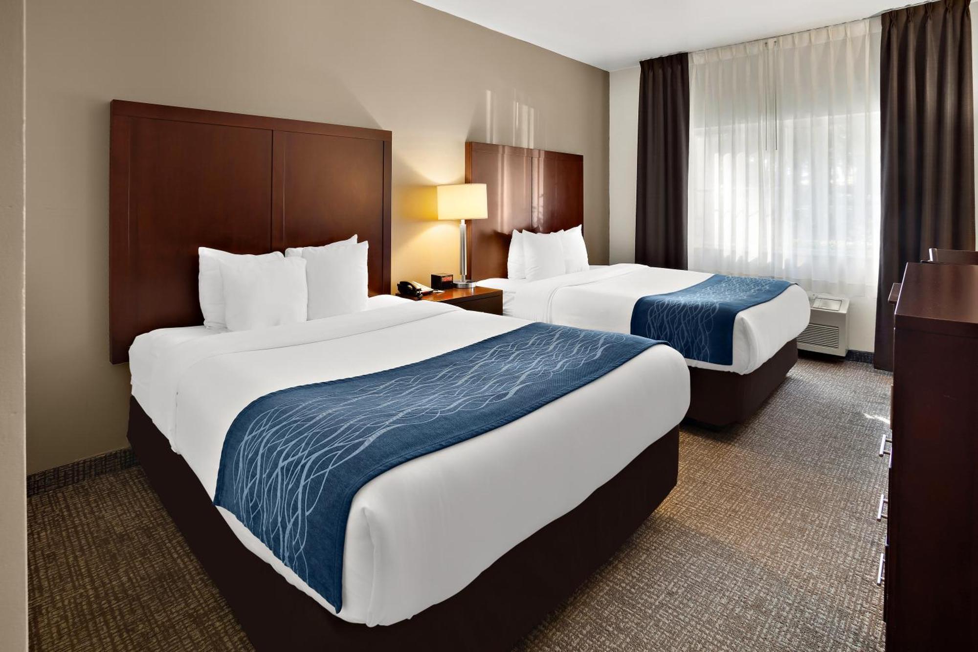 Comfort Inn Lacey - Olympia Εξωτερικό φωτογραφία
