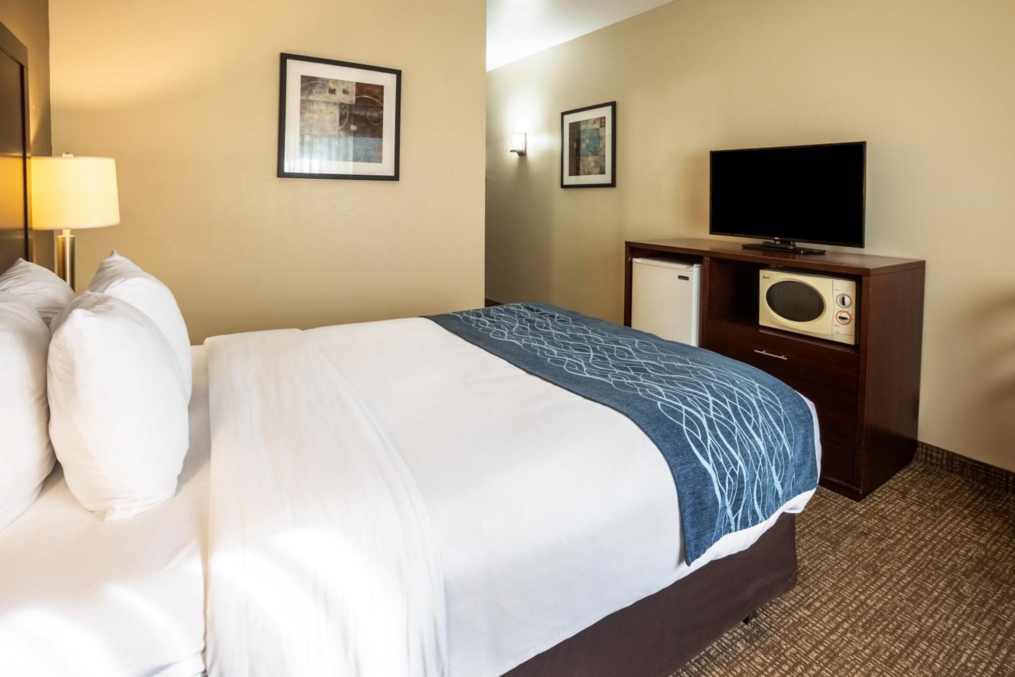 Comfort Inn Lacey - Olympia Εξωτερικό φωτογραφία