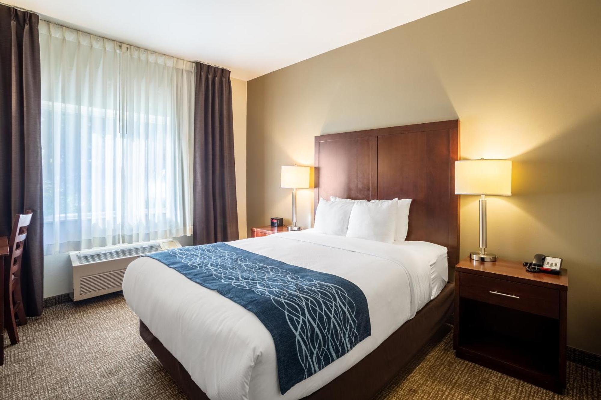 Comfort Inn Lacey - Olympia Εξωτερικό φωτογραφία